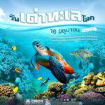 -วันเต่าทะเลโลก-(world-sea-turtle-day)-ตรงกับวันที่-16-มิถ