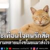16-มิถุนายน-2569-สำนักข่าวต่างประเทศรายงานว่า-ตำรวจเวียดนามส