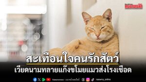 16-มิถุนายน-2569-สำนักข่าวต่างประเทศรายงานว่า-ตำรวจเวียดนามส