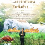 “…เรารักทั้งคน-รักทั้งช้าง…”-ประโยครับสั่งในที่ประชุมของ