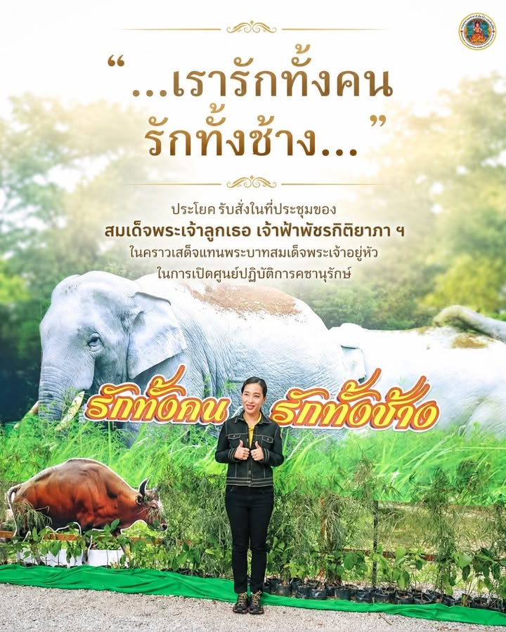 “…เรารักทั้งคน-รักทั้งช้าง…”-ประโยครับสั่งในที่ประชุมของ
