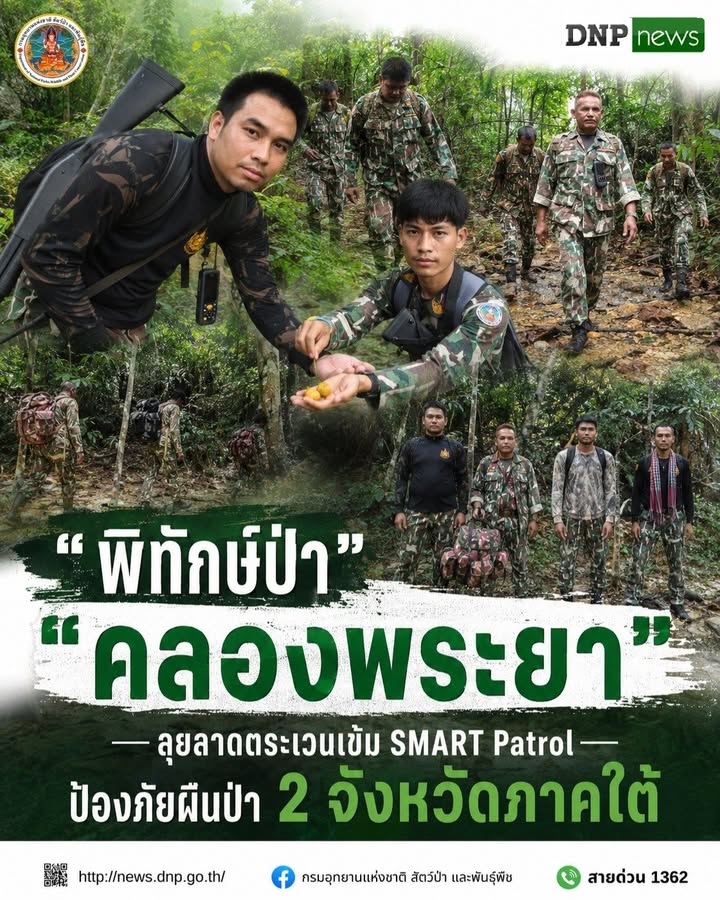ð¿ðð-ððð£ððð§-:-“พิทักษ์ป่าคลองพระยา”-ลุยลาดตระเวนเข้ม-smart-pa