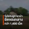 ฝ่ายปกครองลับแลวิ่งไล่จับเอเย่นต์ยาบ้า-ยึดของกลางกว่า-1,600