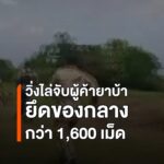 ฝ่ายปกครองลับแลวิ่งไล่จับเอเย่นต์ยาบ้า-ยึดของกลางกว่า-1,600