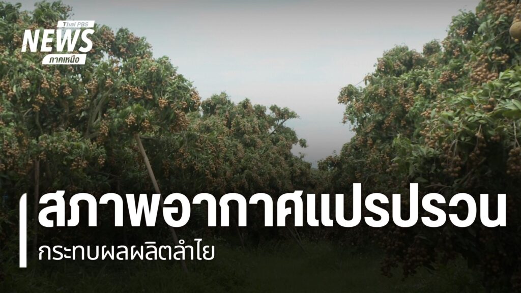 แม้จะเข้าสู่ช่วงฤดูฝนแล้ว-แต่สภาพอากาศช่วงกลางวันในบางพื้นที