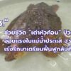 -ช่วยชีวิต-เต่าหัวค้อน-ป่วยลอยอ่อนแรงในแม่น้ำประแส-จ.ระย
