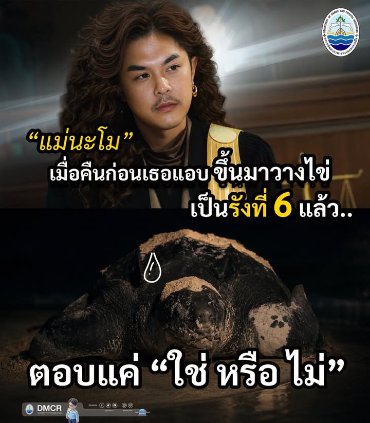แม่นะโม-เมื่อคืนเธอแอบขึ้นมาวางไข่เป็นรังที่-6-แล้ว-ตอบแค่
