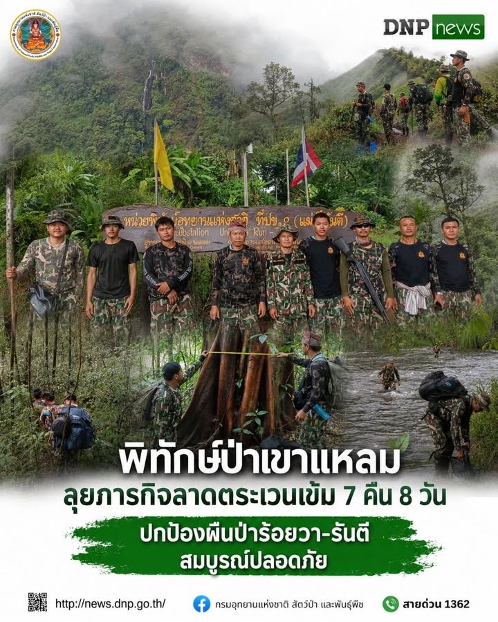 พิทักษ์ป่าเขาแหลม-ลุยภารกิจลาดตระเวนเข้ม-7-คืน-8-วัน-ปกป้องผ
