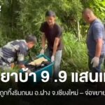 จนทยึดยาบ้า-99-แสนเม็ด-ริมถนน-อฝาง-จ.เชียงใหม่-–-จ่อขยายผ