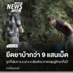 เจ้าหน้าที่ฝ่ายปกครองอำเภอฝาง-จังหวัดเชียงใหม่-ร่วมกับตำรวจ