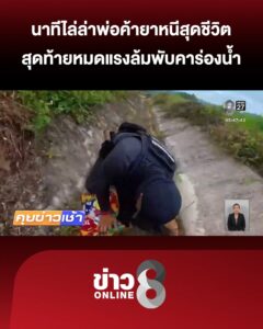 หนีสุดชีวิต