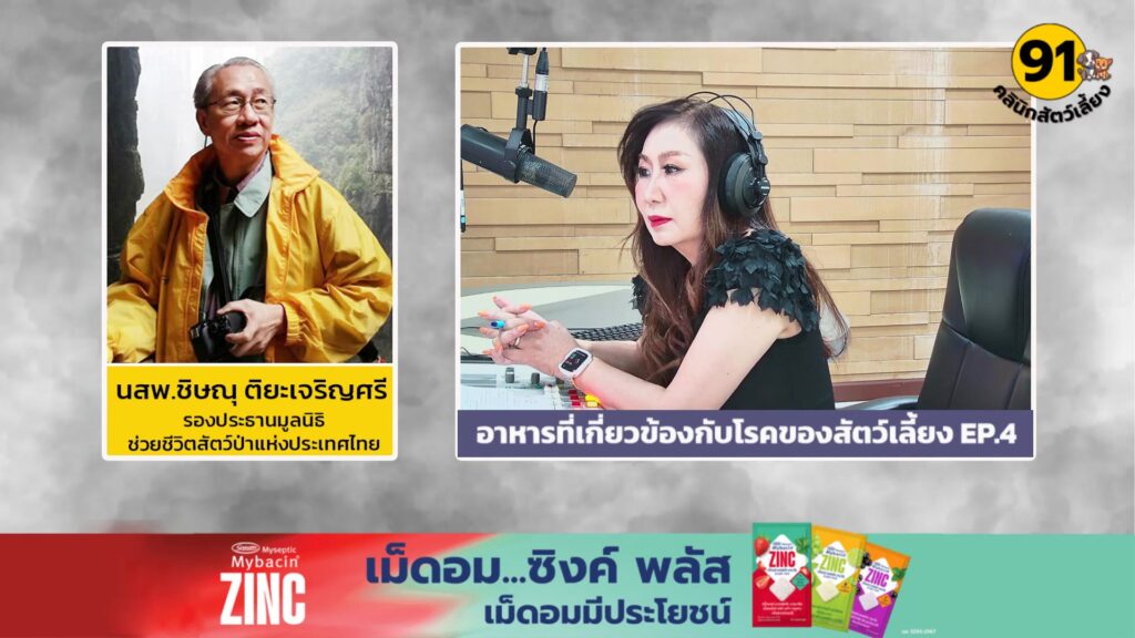 อาหารที่เกี่ยวข้องกับโรคของสัตว์เลี้ยง-ep.4-:-fm91-คลินิกสัต-|-2026-06-21-06:29:00