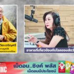 อาหารที่เกี่ยวข้องกับโรคของสัตว์เลี้ยง-ep.4-:-fm91-คลินิกสัต-|-2026-06-21-06:29:00
