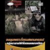 จนมุมเพราะโดรนสแกนกรรม หนุ่มเมายาแก้ผ้าโดดลงคลองหนีตำรวจ อัพเดทข่าว