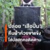 กรมอุทยานแห่งชาติ-สัตว์ป่า-และพันธุ์พืช-ปล่อย-“เสือปิ่น”-เสื