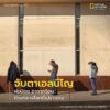 ถึงวันนี้ทุกคนคงรู้จักปรากฏการณ์ทางภูมิอากาศที่ทำให้อุณหภูมิ