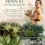 หยั่งรากกลางสายลมทะเล…-“ละมุดป่า”-ร่มเงาแห่งพระเมตตาที่เติ