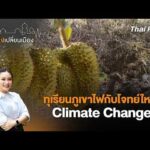 ทุเรียนภูเขาไฟกับโจทย์ใหญ่ Climate Alternate | เสียงเปลี่ยนเมือง 25 มิ.ย.69