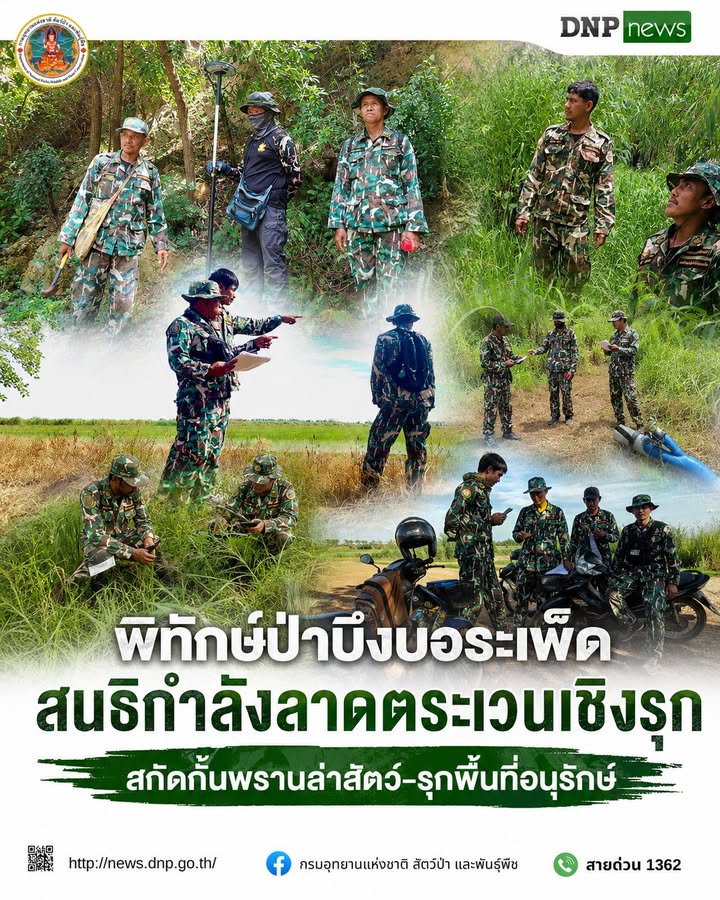 ð¿ðð-ððð£ððð§-:-พิทักษ์ป่าบึงบอระเพ็ด-สนธิกำลังลาดตระเวนเชิงรุก