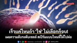 เราอาจเคยถูกสอนมาตลอดว่า-“สเปิร์มตัวที่ว่ายเร็วที่สุดและแข็ง