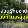พาสำรวจสวนรุกขชาติวังก้านเหลือง-แหล่งเรียนรู้ทางนิเวศวิทยาที