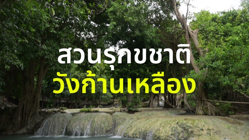 พาสำรวจสวนรุกขชาติวังก้านเหลือง-แหล่งเรียนรู้ทางนิเวศวิทยาที