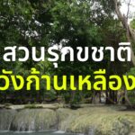 พาสำรวจสวนรุกขชาติวังก้านเหลือง-แหล่งเรียนรู้ทางนิเวศวิทยาที