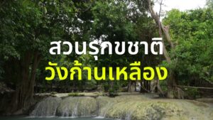 พาสำรวจสวนรุกขชาติวังก้านเหลือง-แหล่งเรียนรู้ทางนิเวศวิทยาที