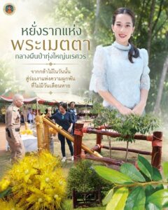 “หยั่งรากแห่งพระเมตตา-กลางผืนป่าทุ่งใหญ่นเรศวร”-จากกล้าไม้ใน