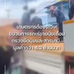 เกษตรกรต้องระวัง-ขบวนการรถกระบะเร่ขายปุ๋ยเถื่อน-ตรวจยึดปุ๋ย