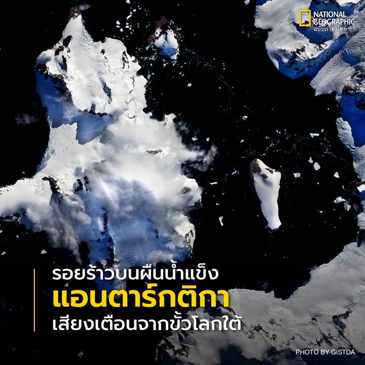 เมื่อนึกถึง-แอนตาร์กติกา-(antarctica)-หรือทวีปขั้วโลกใต้-เ