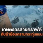 เกษตรกรสายคราฟต์กับผ้าย้อมครามกระทุ่มแบน | หัวใจในลายผ้า 29 มิ.ย. 69