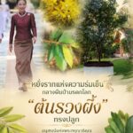-หยั่งรากแห่งความร่มเย็น-กลางผืนป่ามรดกโลก…-ต้นรวงผึ้ง