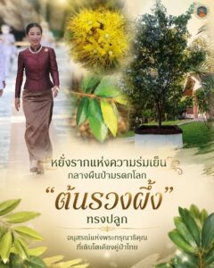-หยั่งรากแห่งความร่มเย็น-กลางผืนป่ามรดกโลก…-ต้นรวงผึ้ง