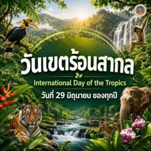 ️-29-มิถุนายน-“วันเขตร้อนสากล”-(global-day-of-the-t