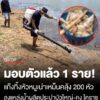 มอบตัวแล้ว-1-ราย