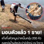 มอบตัวแล้ว-1-ราย