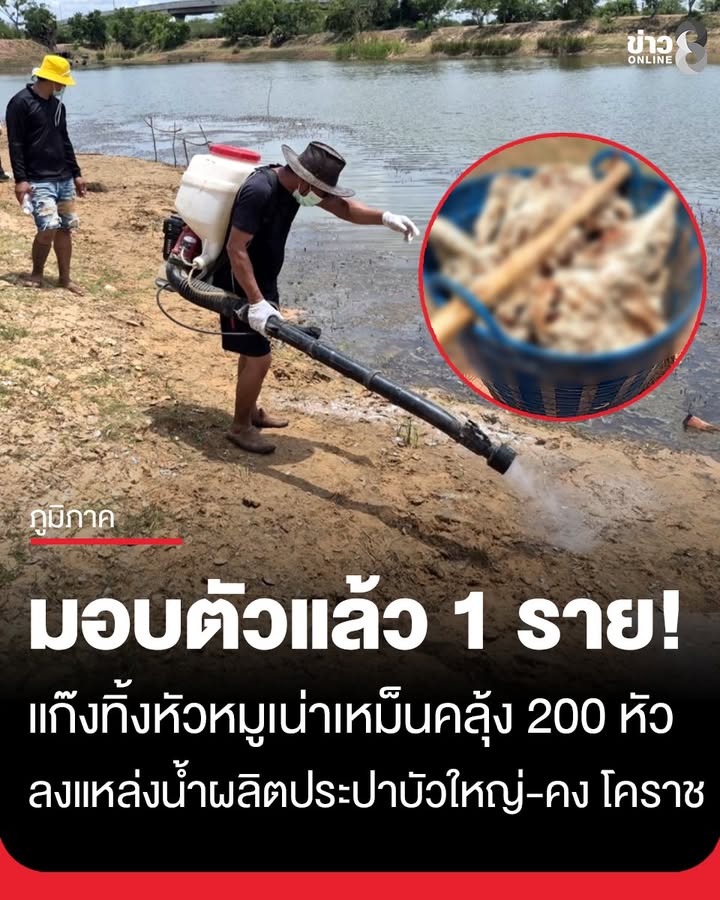 มอบตัวแล้ว-1-ราย