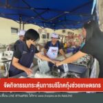 จัดกิจกรรมกระตุ้นการบริโภคกุ้งช่วยเกษตรกร-ข่าวใต้แลได้ที่เร