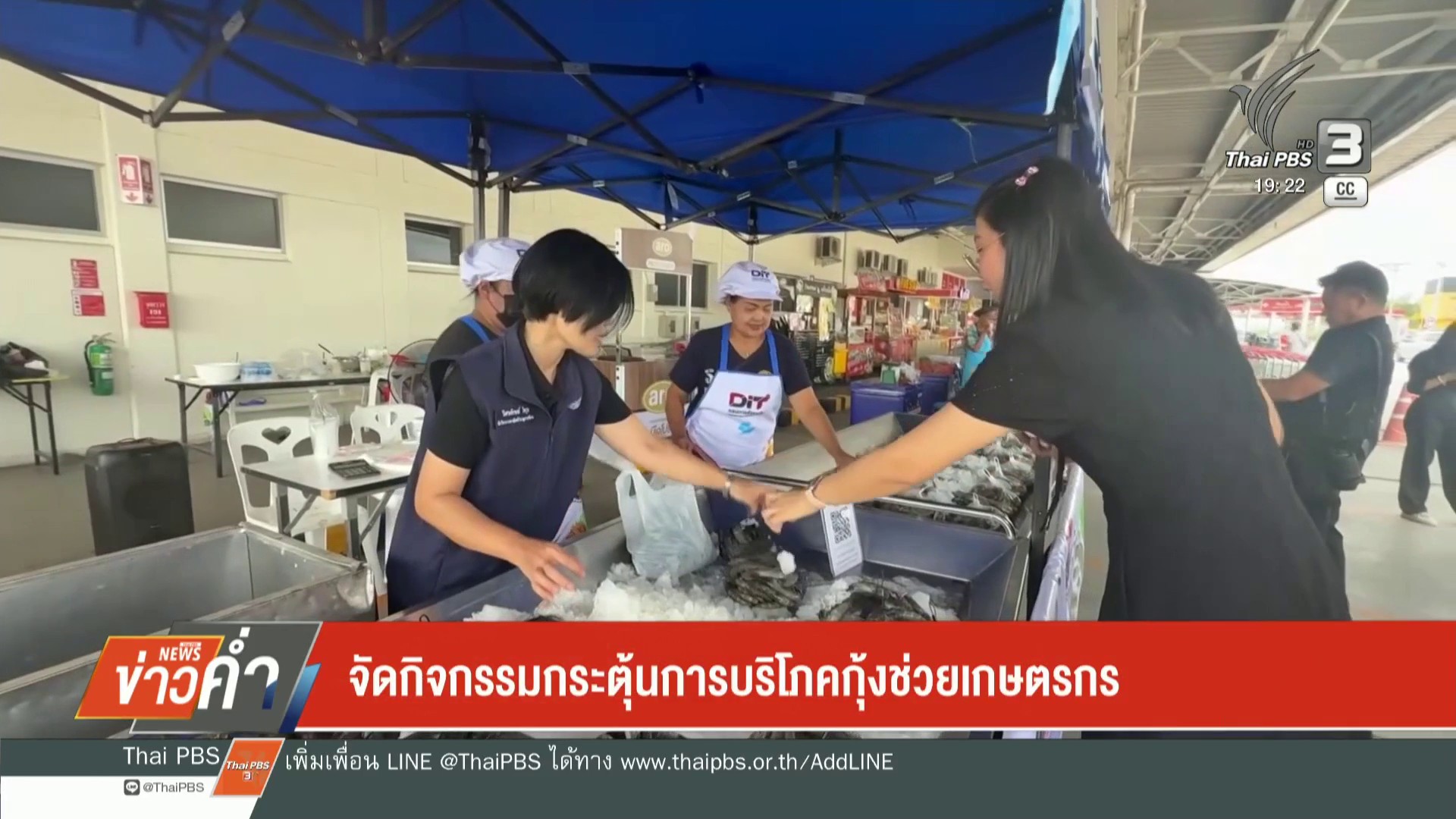 จัดกิจกรรมกระตุ้นการบริโภคกุ้งช่วยเกษตรกร-ข่าวใต้แลได้ที่เร