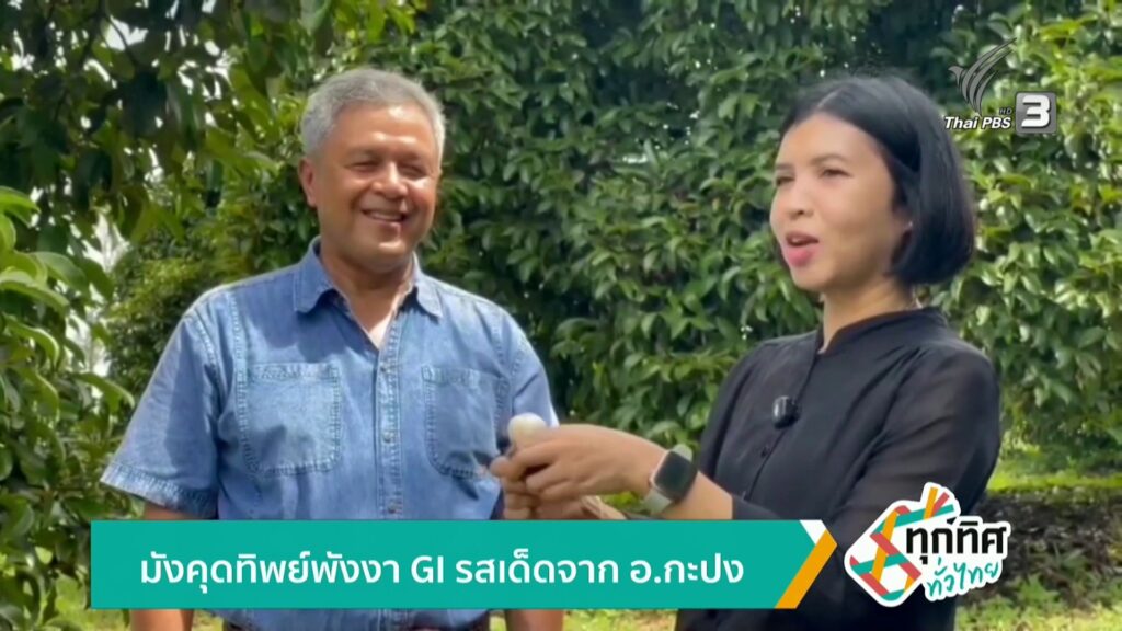 มังคุดทิพย์พังงา-gi-รสเด็ดจาก-อกะปง-จังหวัดพังงา-ข่าวใต้แลได้ที