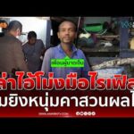 ด่วน ตำรวจเร่งล่าตัวไอ้โม่งรัวไรเฟิล 3 นัด ซุ่มยิvหนุ่มคาสวนผลไม้