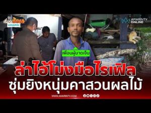 ด่วน ตำรวจเร่งล่าตัวไอ้โม่งรัวไรเฟิล 3 นัด ซุ่มยิvหนุ่มคาสวนผลไม้