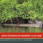 อุทยานแห่งชาติ-สำรวจผลกระทบจากแลนด์บริดจ์-จ.ระนอง-ชุมพร-ข่าวใต้แลไ