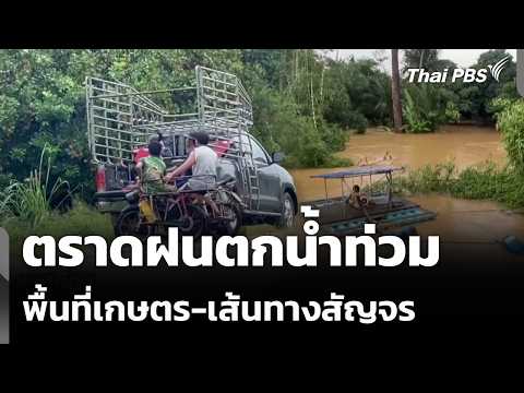 ตราดฝนตกน้ำท่วมพื้นที่เกษตร-เส้นทางสัญจร  | ข่าวเที่ยง 5 ก.ค. 69