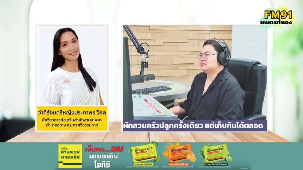 ผักสวนครัวปลูกครั้งเดียว-แต่เก็บกินได้ตลอด-:-fm91-เกษตรทำเอง-|-2026-07-05-00:27:00