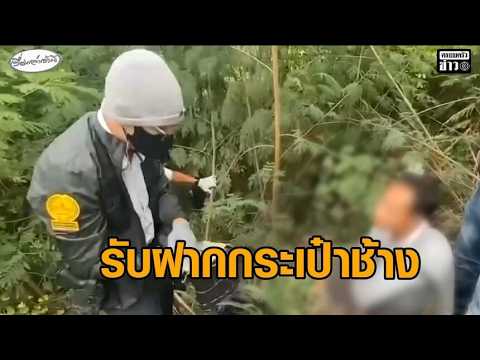 รวบเพิ่มอีกคน คดีแอร์มินา เพื่อน ‘อุทัย’ ขบวนการกระเป๋าช้างซุกเฮโรอีน รับทำลายหลักฐานทิ้ง อัพเดทข่าว