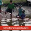 เจรจาแก้ปัญหาราคากุ้งมีทิศทางที่ดีขึ้น-ข่าวใต้แลได้ที่เรา-#