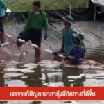 เจรจาแก้ปัญหาราคากุ้งมีทิศทางที่ดีขึ้น-ข่าวใต้แลได้ที่เรา-#