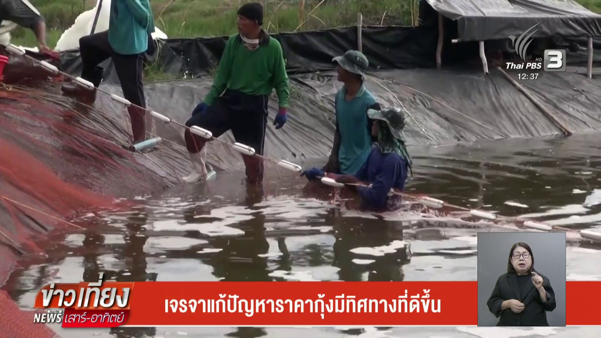 เจรจาแก้ปัญหาราคากุ้งมีทิศทางที่ดีขึ้น-ข่าวใต้แลได้ที่เรา-#